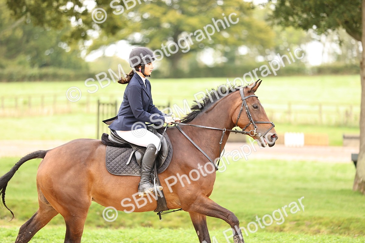 SBM_58357 - J41 - Grand Tour Horse & Pony 95cm