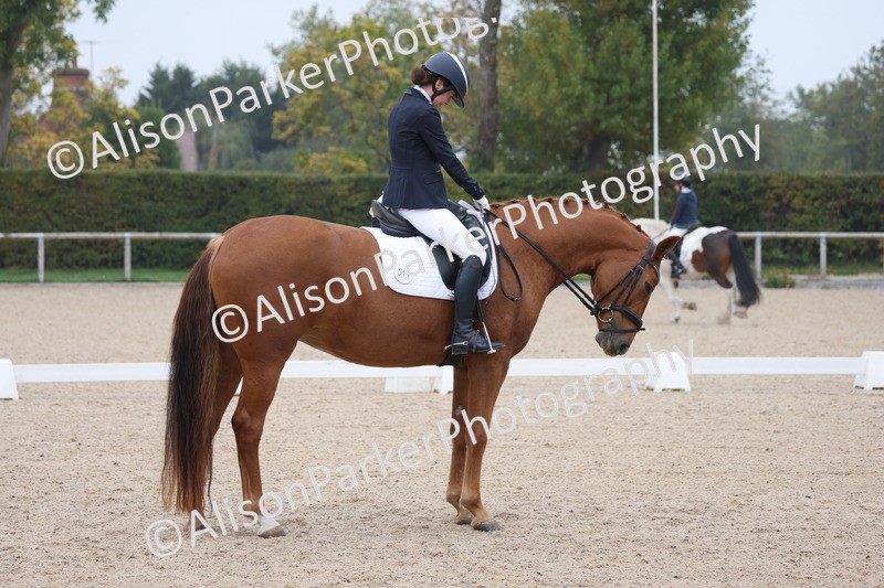 20251012-0569 - Class 4 - Novice 6