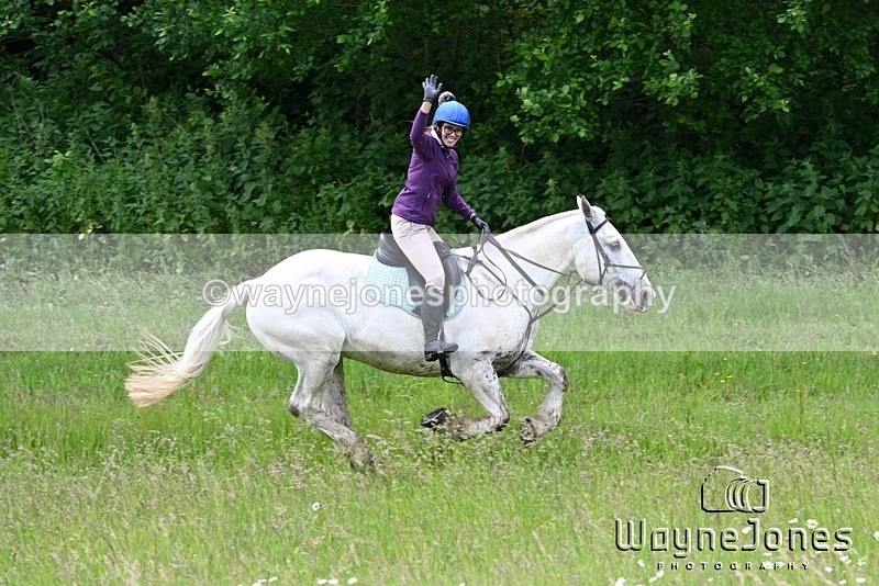 WJ7_8635 - Edited examples