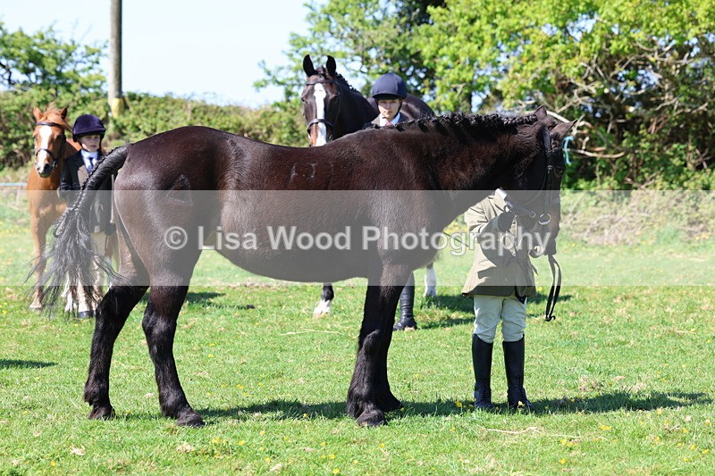3E7A9929 - Class 17: Young Handler