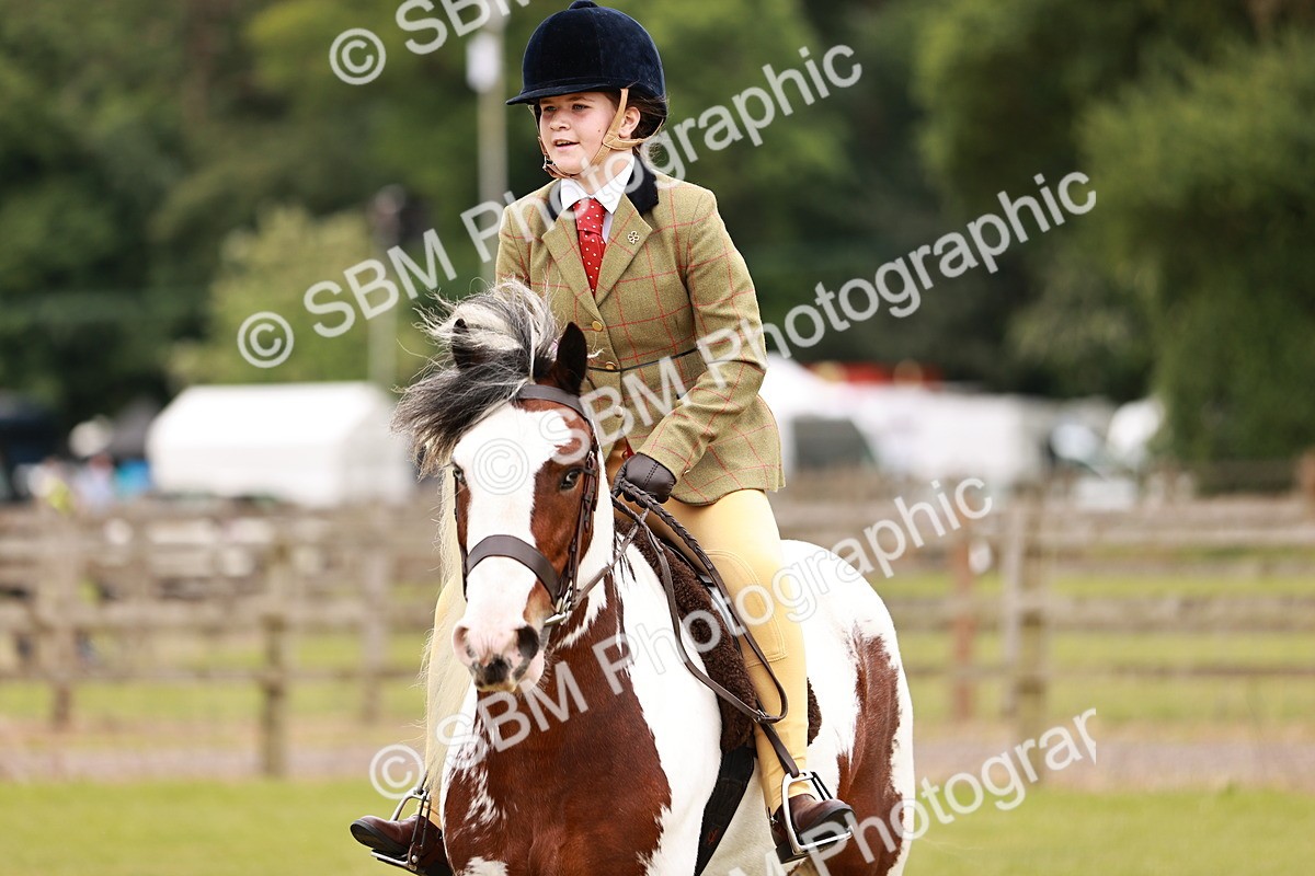 SBM_06200 - Class 39-41 TGCA In Hand and Ridden