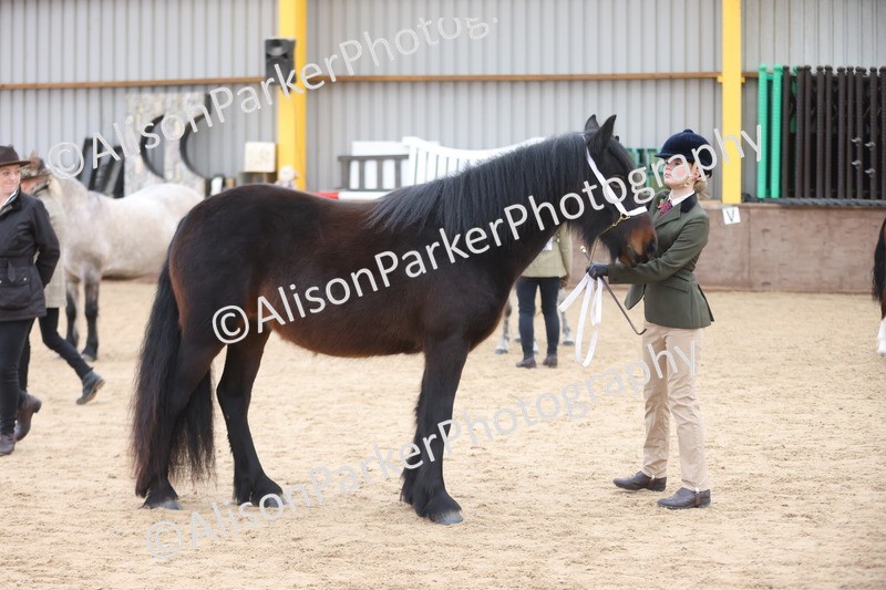 20251109-0963 - Class 26 - 2 and 4 Year Olds