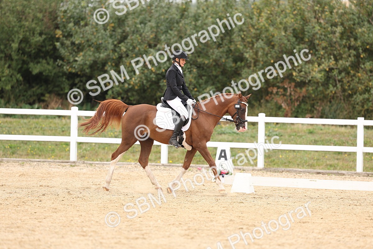 SBM_02070 - Class 8 - Novice 27 Champs