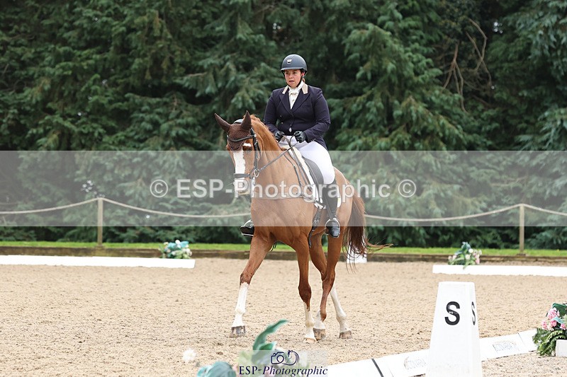 241024-150906-04751 - 230-Harriet.Dickin-PULL.YA.SOCKS.UP