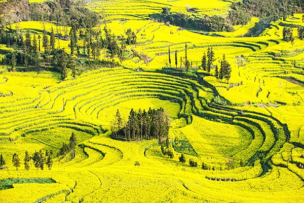 - China