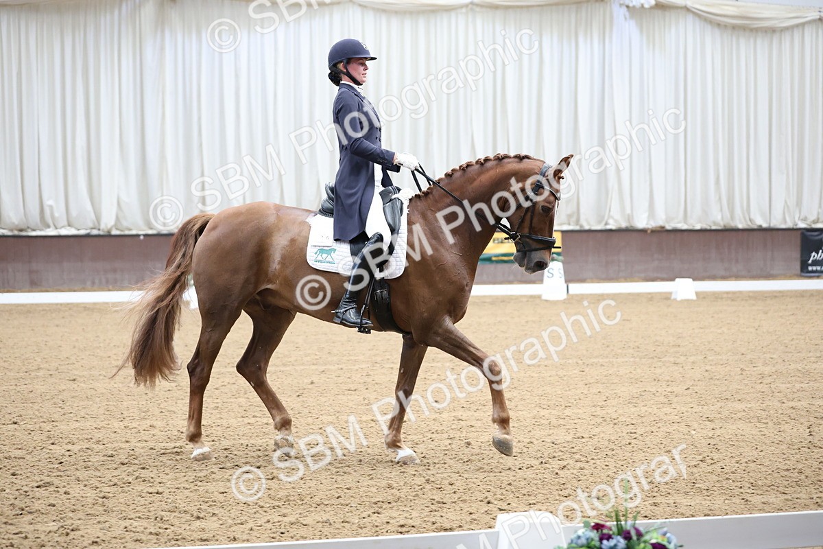SBM_004360 - Class 9 - FEI Inter 1 Gold - 15.55-16.43