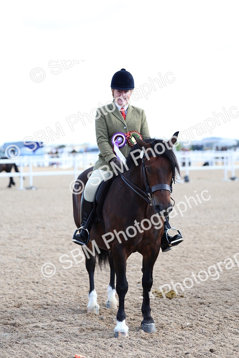 SBM_08978 - Class 302 - Ridden M&M - Large Breeds