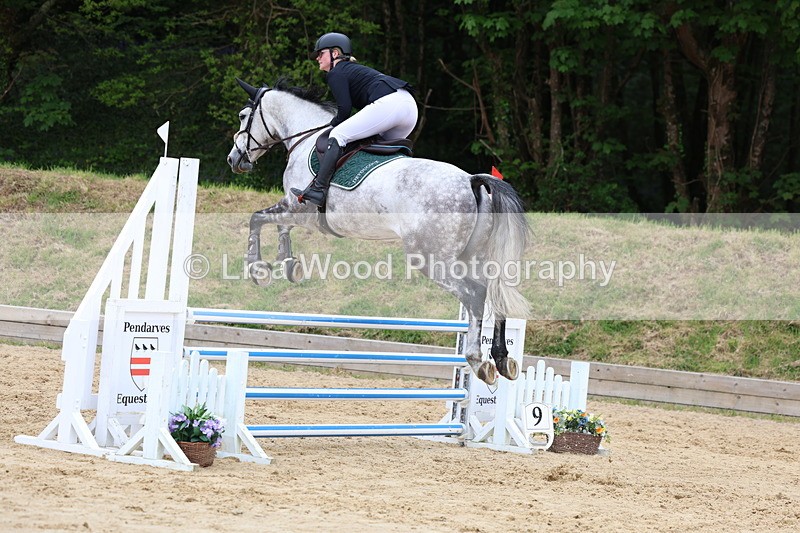 3E7A6428 - Class 4: Senior British Novice/90cm open