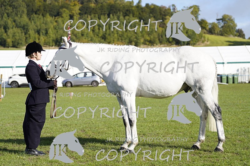 _DSC9536 - Class 8 & 17 Ridden Hunter & Ridden Hunter Pony