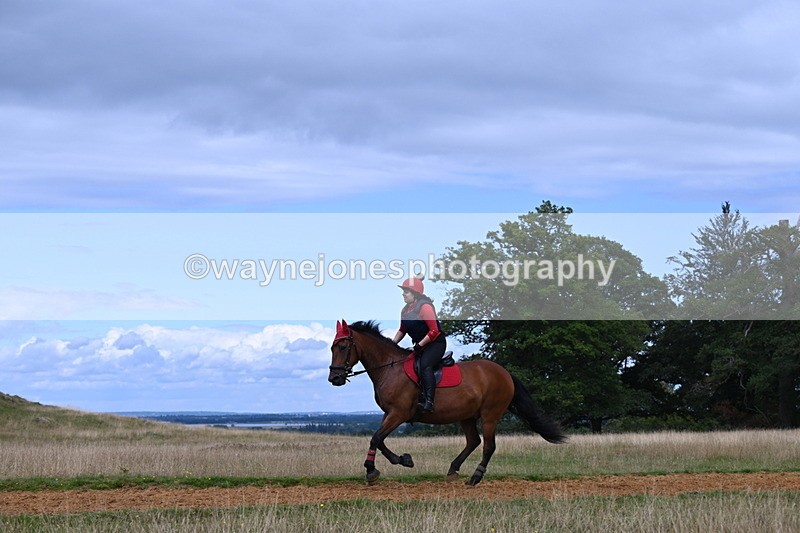 DSC_8874 - Time at Statue 14:33 to 15:10