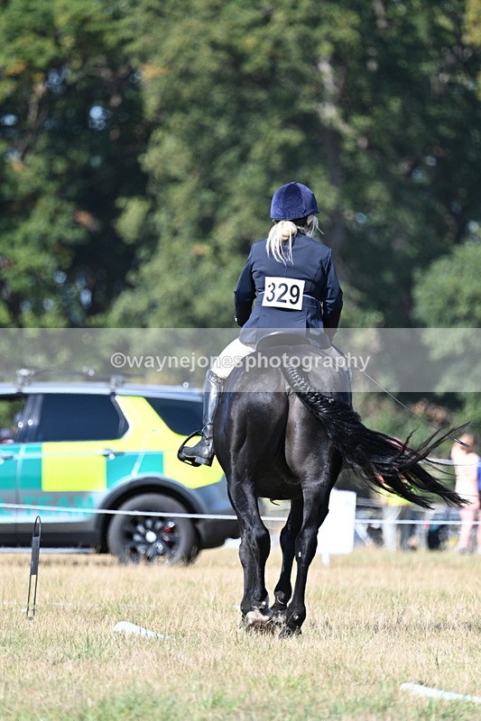 WJ7_9879 - Time 11:03 to 11:28