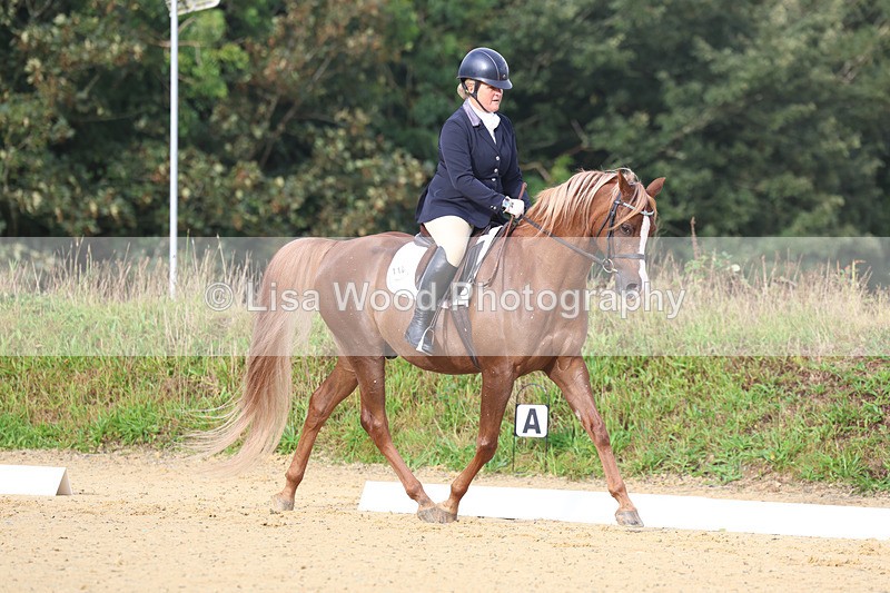 3E7A1907 - Class 1: Intro 4 2024 section A