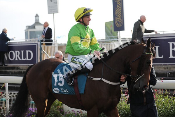 yr07102022r5-10 - Race 5 4.25pm Copper Knight Winningmost Horse Stakes