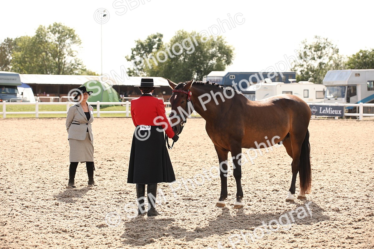 SBM_07418 - Class 26 IH Foreign Breeds -Part bred