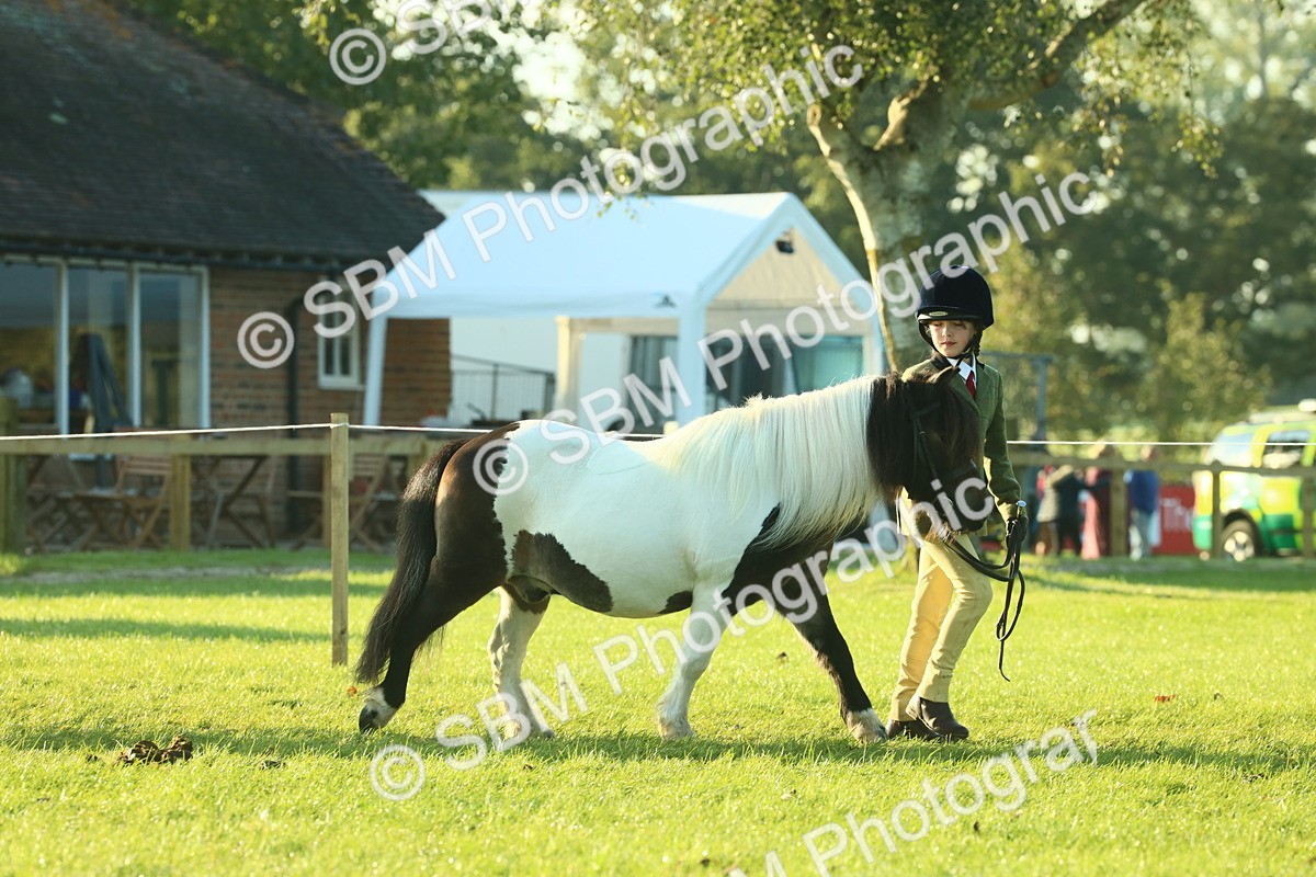 SBM_57281 - S37 - Starters In Hand Showing