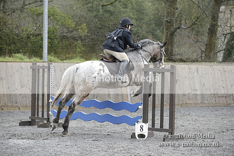 BVRC 050320 0297 - Bourne Valley riding Club Show Jumping Tidworth 08/03/20