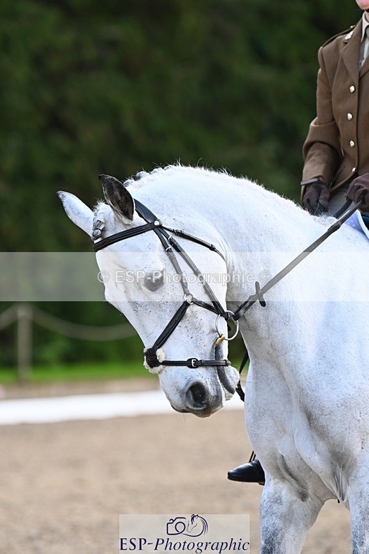 231021-144015-18763 - 254-WESTERN.OCALA-Charlotte.Keers-DR