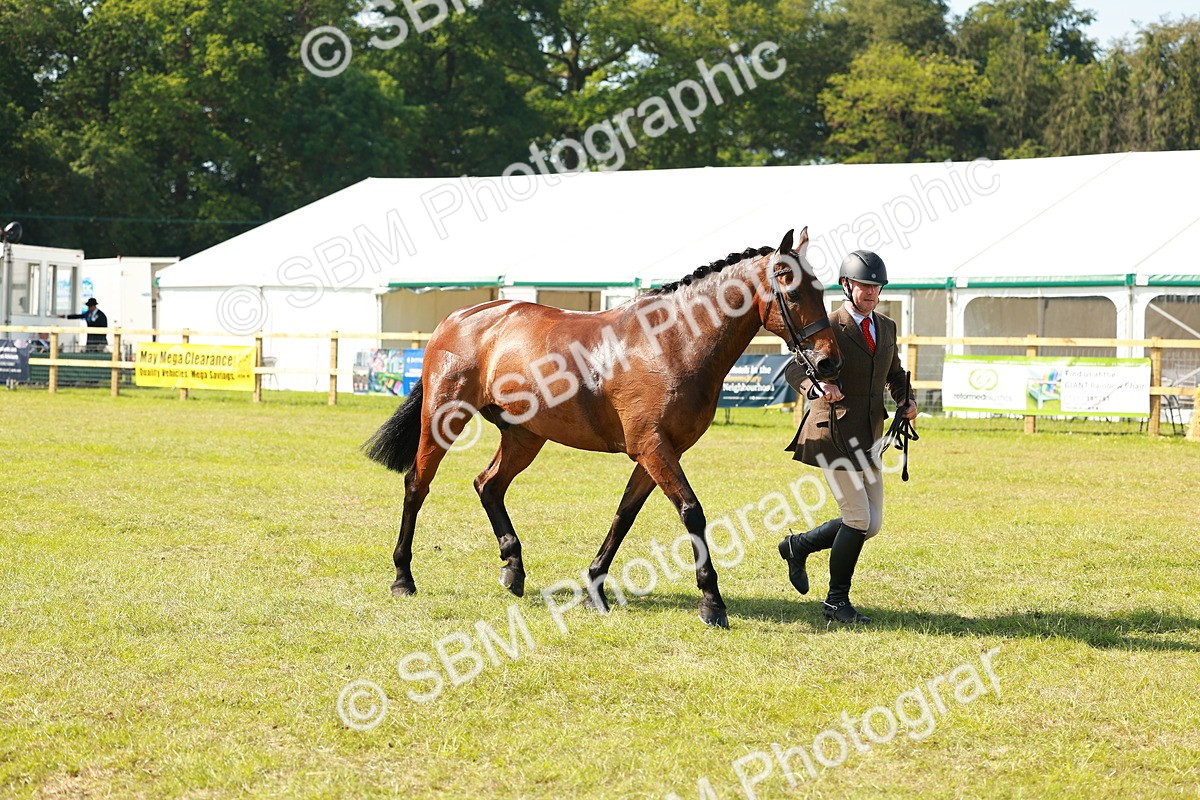 SBM_12077 - Class 66-69 - RIHS Ridden Hunters Inc Small Hunter