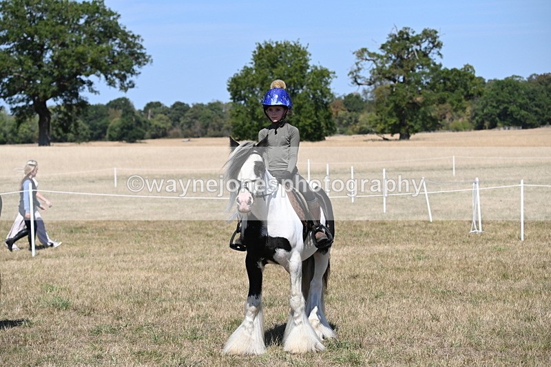 WJ6_9024 - Class 38 Ridden Riding Horse/Pony