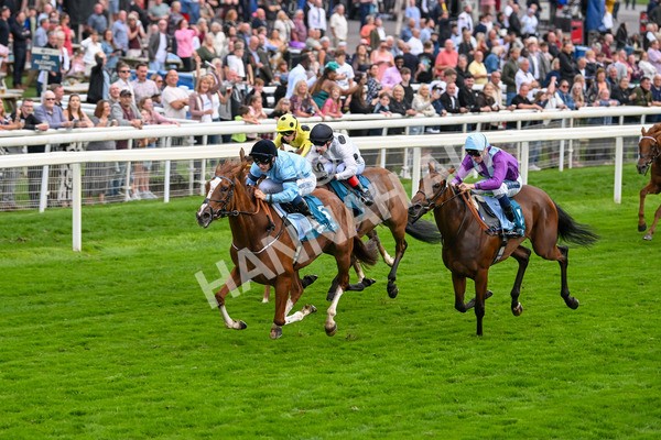 080925-Race 6-Rhapsody-7778 - Race 6 5.00pm Sky Bet Build A Bet Fillies' Handicap