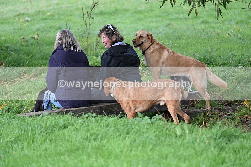 WJ7_0834 - Time 14:27 to 15:11