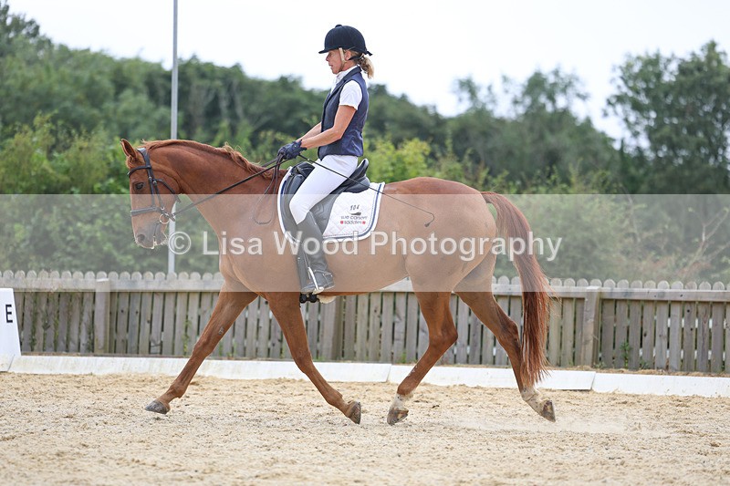 3E7A7206 - Class 9: Elementary 4 2024 - No sections