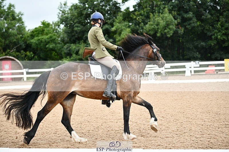 250705-101534-00185 - BRCP1 Sections BRCP1SNR, BRCP1JNR 09-30 to 10-40