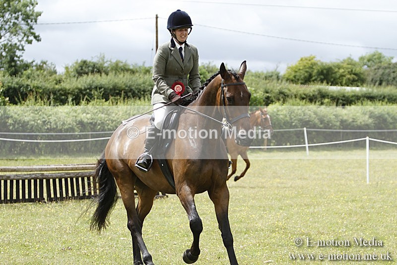 BVR160717-1865 - Ring 3 BVRC Show 16/07/17