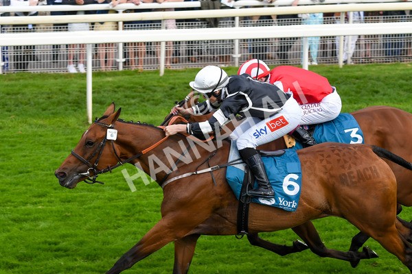 250823-Race 5-Reach-0890 - Race 5 4.10pm Assured Data Protection EBF Fillies' Handicap