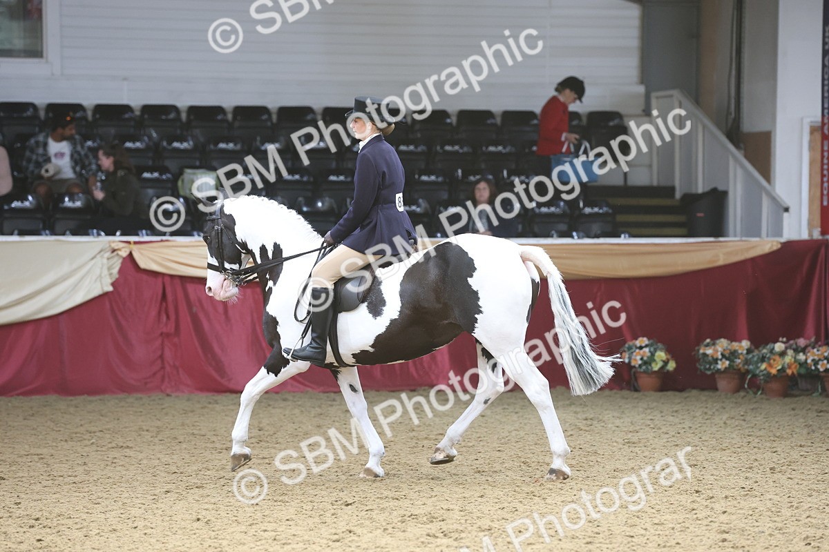 SBM_23764 - class 906 - Supreme Final - Ridden Pre Vet