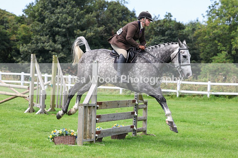 3E7A8868 - Class 6: Open Working Horse