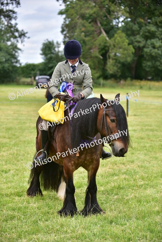 20260614-4233 - Class 17 - Best Mane and Tail
