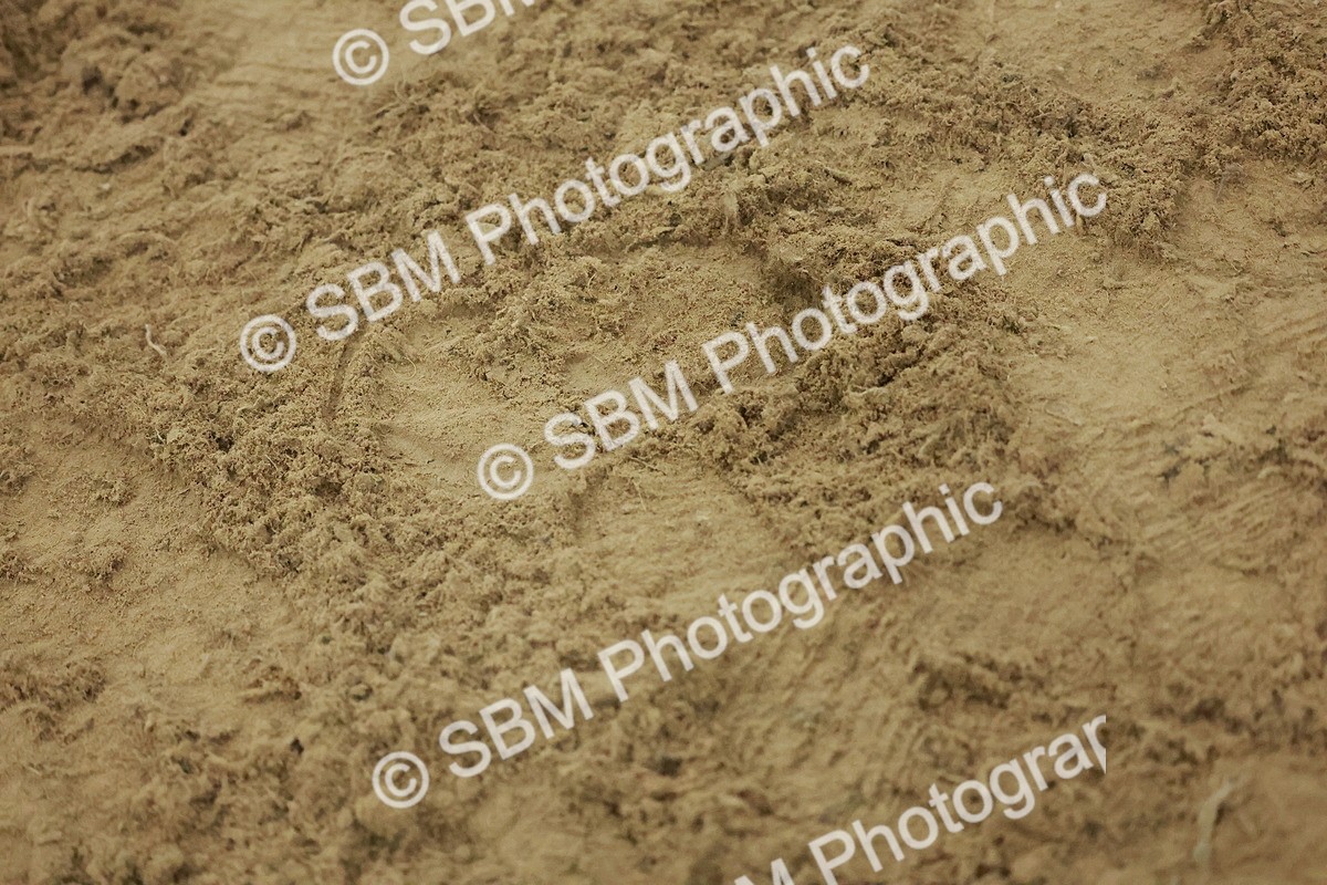 SBM_005022 - Class 6 - Chase Me Charlie