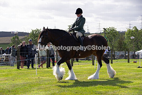 DSC_0238 - Ring 1