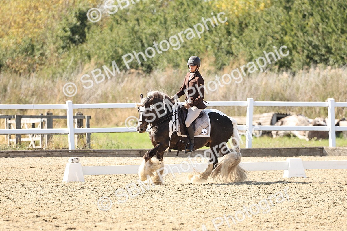 SBM_015286 - Class 9 - Advanced medium 3