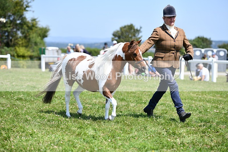 DSC_7704 - Class 64: Coloured Pony 4yrs & over