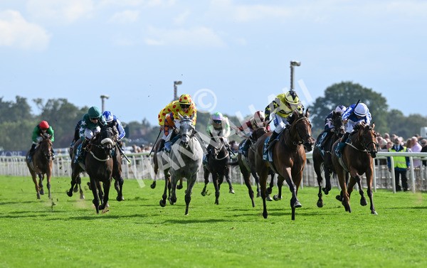 220825-204 Cape Flora - Race 5 4.10pm Assured Data Protection EBF Fillies' Handicap