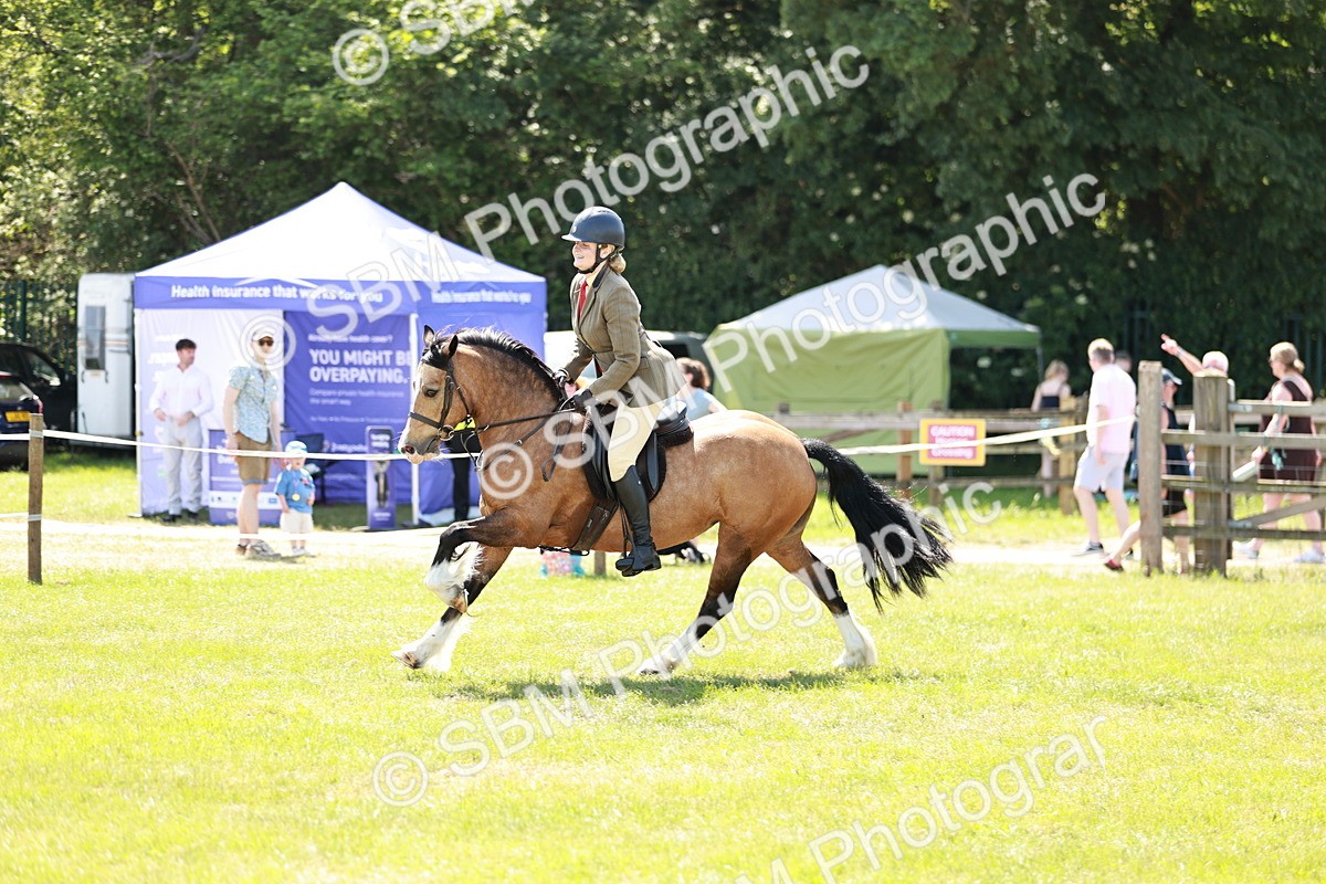 SBM_16353 - Class 110-111 - Training Stakes (70cms 80cms)