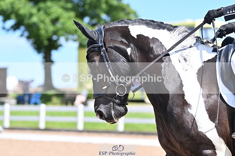 240621A-132409-03732 - Cls 8 BD Elementary 53