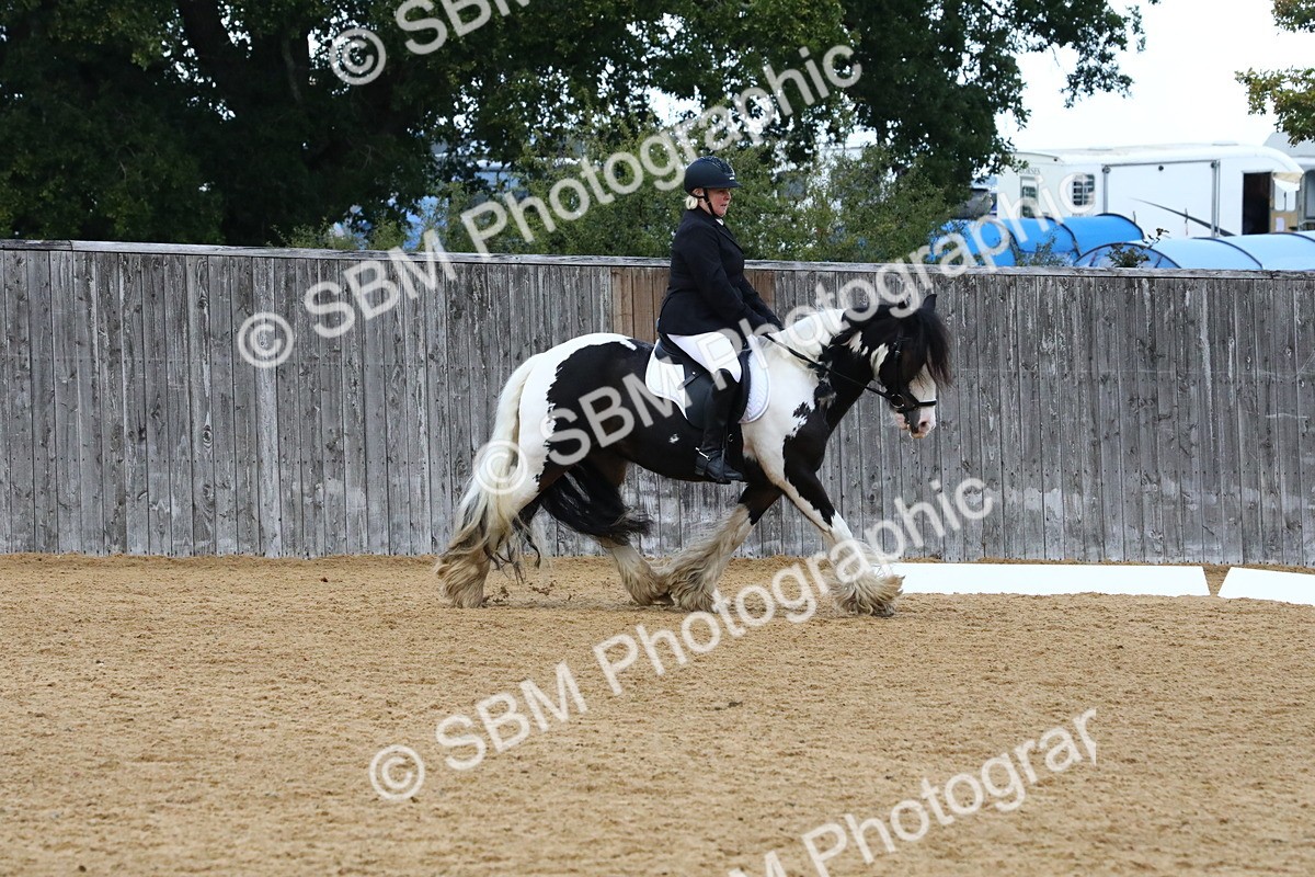 SBM_21030 - D5 - Small Tour Championshop Intro 2