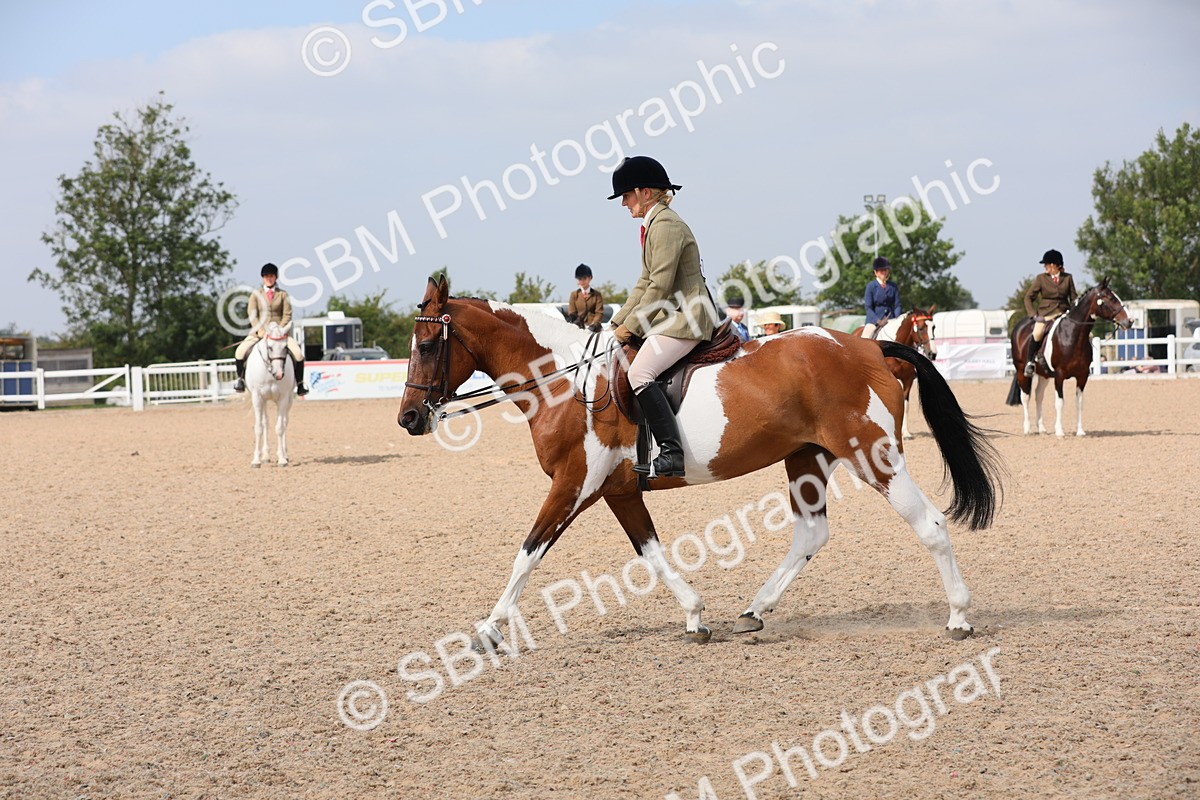 SBM_13419 - Class 308 Ridden Coloured Horse