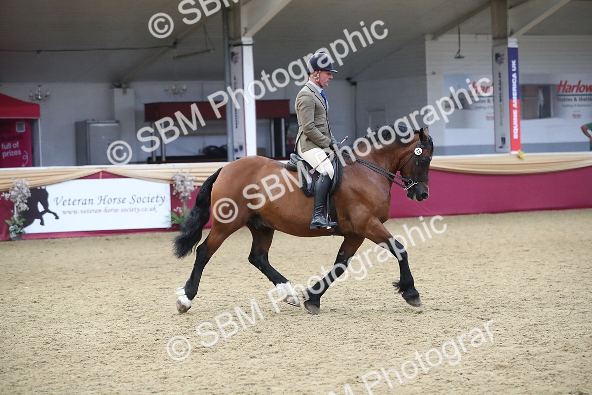 SBM_16446 - Class 502 M&M Ridden Supreme Final