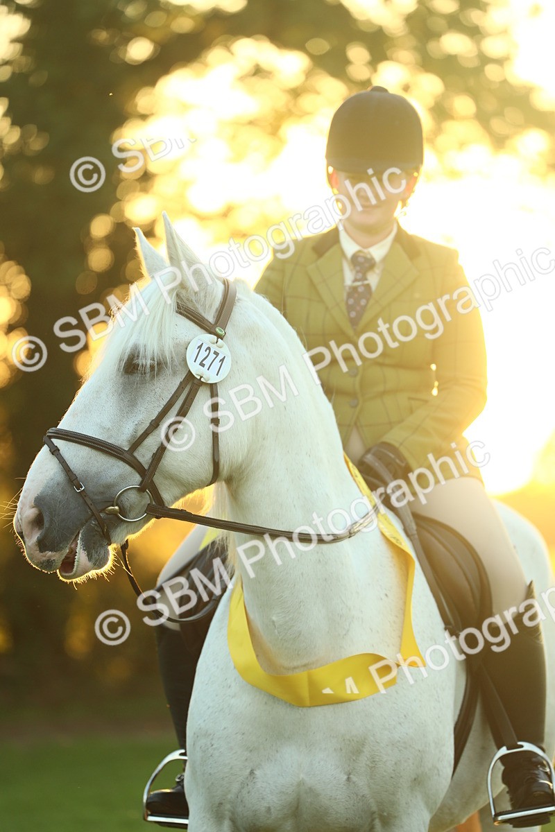 SBM_56731 - Fun & Versatile Supreme Championship