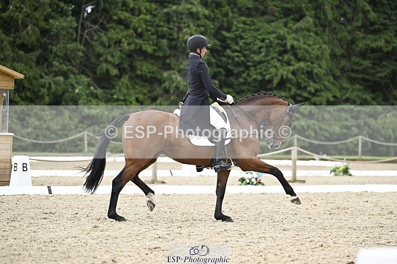 240523-155910-05359 - 452-FALCO_IV-Tim_Price