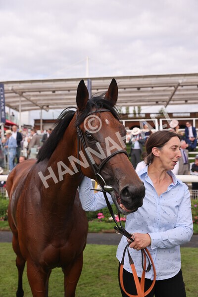 yr19082022r5-56 - Race 5 4.10pm Assured Data Protection EBF Fillies' Stakes