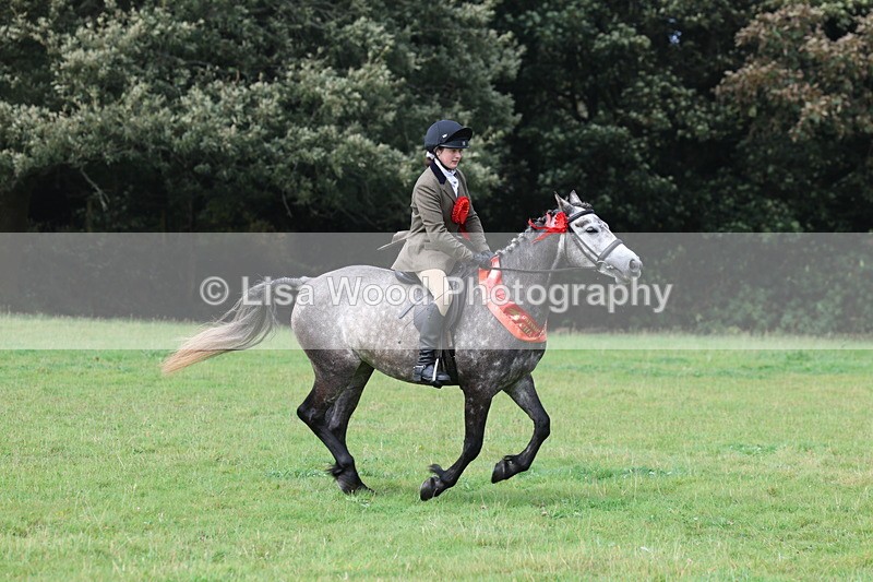 3E7A6196 - Working Hunter Championship