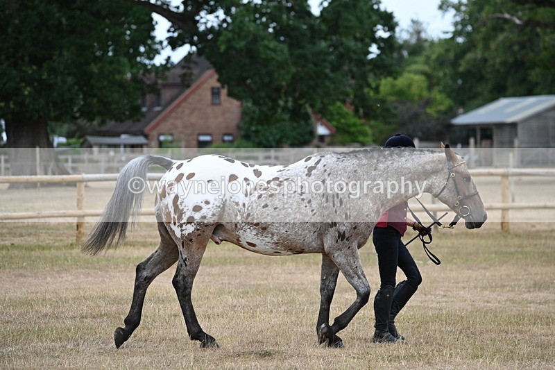 WJ6_7817 - Class 10 Coloured in Hand