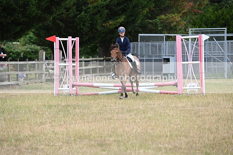 WJ6_9601 - Class 12 Minimus Jumping 45cm