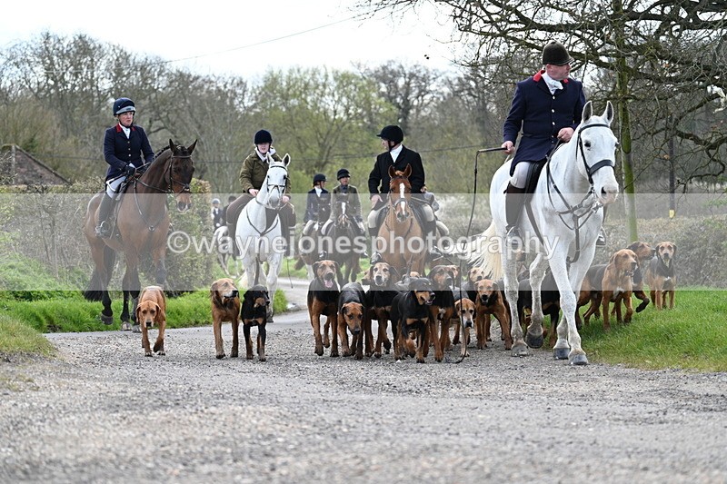 WJ7_9798 - Walk Home