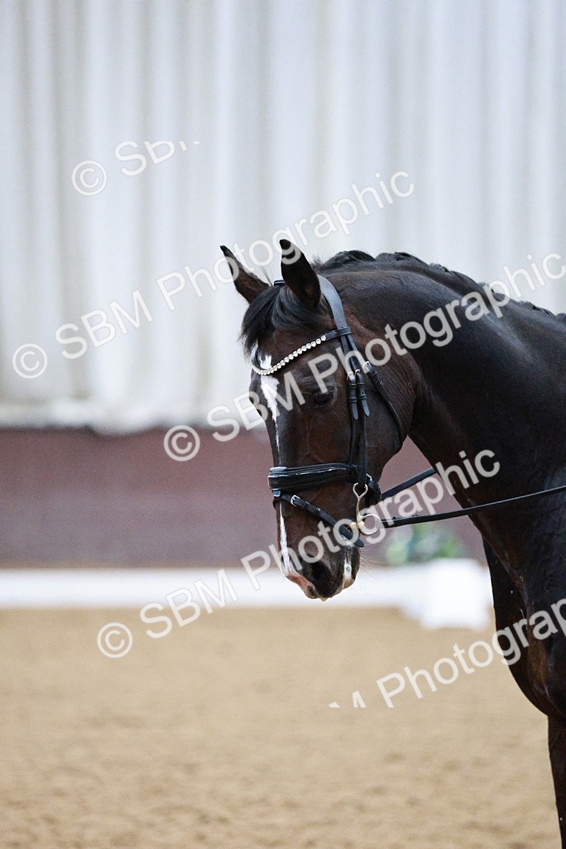 SBM_020703 - Class 13 - FEI INT I - 15.30-16.00